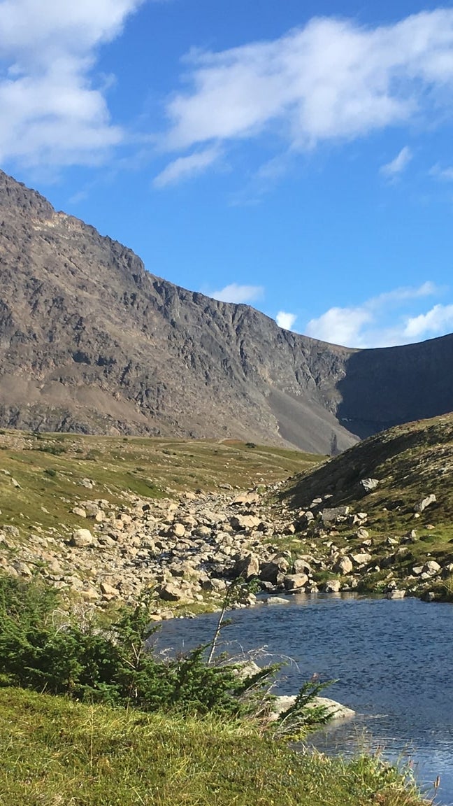 Rabbit Creek Alaska Real Estate Rabbit Creek Alaska Homes Rabbit